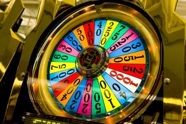 Live-dealer blackjack table with multi-camera studio view